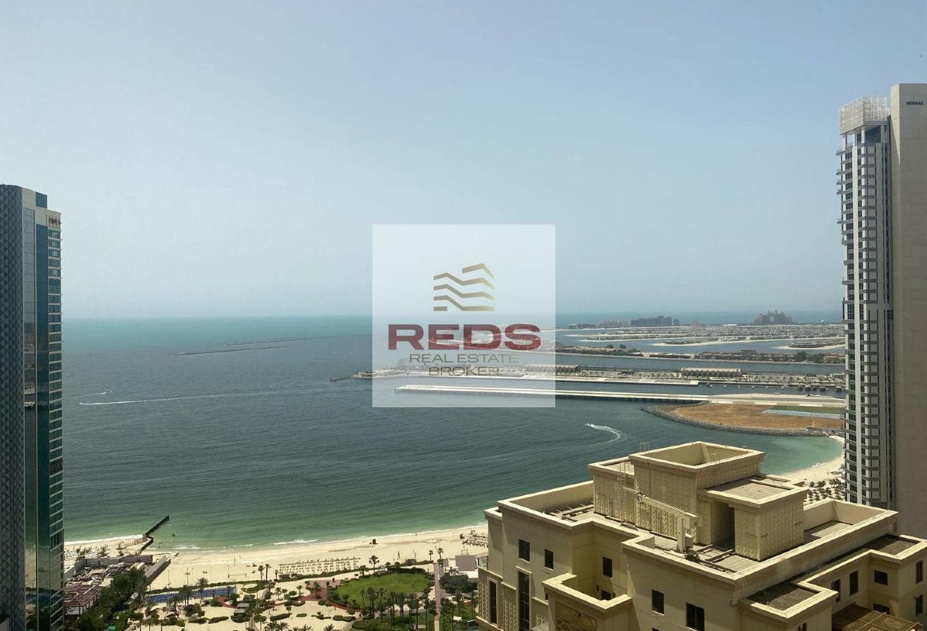Direct View of Palm | High Floor | Large Layout
